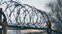 колючка