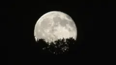 चांद