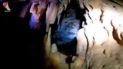 أنا الشاهد تقاريركم هذا الأسبوع