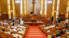 Ndị omeiwu Naịjirịa