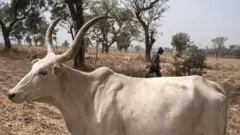 Ehi