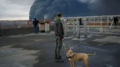 Haleellaa qilleensaa Odessa