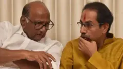 शरद पवार-उद्धव ठाकरे
