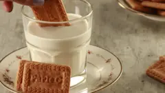 પ્રતીકાત્મક તસવીર