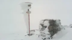 Сніг у карпатах
