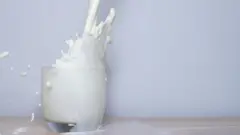 Copo de leite