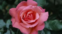 burma