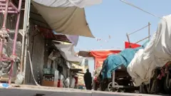 Толибон Мозори Шарифни эгаллагач, катта сондаги одам, аксинча, пойтахт Кобулга қараб қочишганди