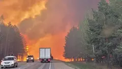 Лесной пожар