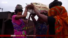 బొగ్గు