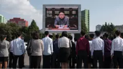 kim