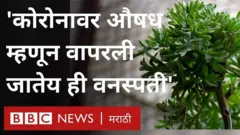 वनौषधी
