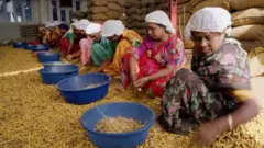 పసుపు బోర్డు