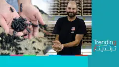 هل تصبح الديدان طعاما في الكويت؟