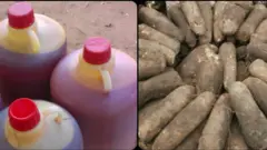 foodstuffs