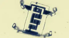 ক্ষুদে রোবট, যা একদিন ক্যান্সার ধ্বংস করবে