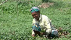 আবুল হোসেন