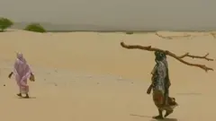اقليمي بدلون