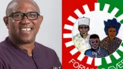 Peter Obi ati ami idamọ ẹgbẹ oselu Labour