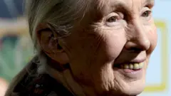 Jane Goodall