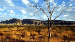 pilbara