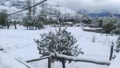 چترال