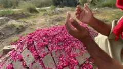 ایچ آئی وی