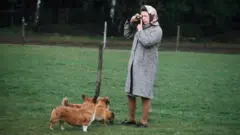 Королева и корги