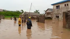 Flood