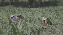 صورة من حلقة "دنيانا" عن نساء الريف
