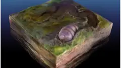 Биоорганизм