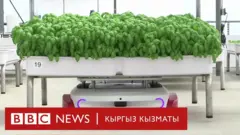 Робот