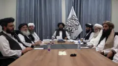 طالبان