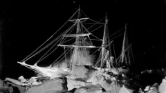 Endurance ship