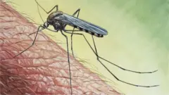 د ملاریا درملنې په اړه څېړنه