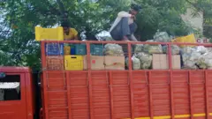 कोरोनाभाइरस