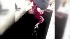 टर्की