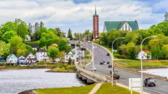 Dezenas de pessoas em New Brunswick estão apresentando sintomas da nova doença que afeta fortemente o cérebro.