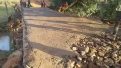 Riqichi dur muka tokkee turte akkasitti hawaasa tajaajiluuf qophoofte