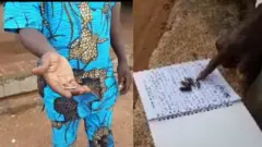 Ọta ibọn ologun