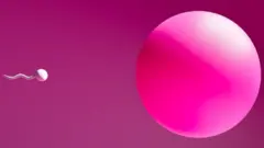 sperm