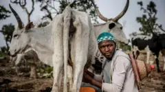 Fulani ọchịehi