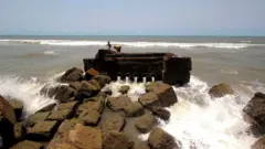 દરિયાકાંઠો