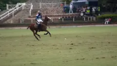 pictures of polo in Nigeria