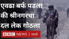 kashmir