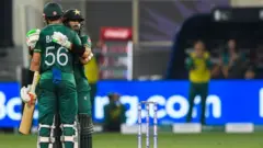 کرکٹ