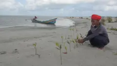 โครงการขุดลอกเพื่อแก้ปัญหาความยากจนแต่ให้ผลตรงกันข้าม