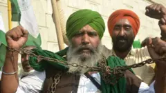 शेतकरी आंदोलन, कृषी कायदे, दिल्ली, पंजाब, हमीभाव
