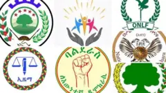 ኣብ ዝመጽእ ምርጫ ኢትዮጵያ 2013፡ እቶም ቀንዲ ተወዳደርቲ ሰልፍታት በዓል መን ክኾኑ ይኽእሉ?
