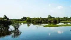 මුතුරාජවෙල